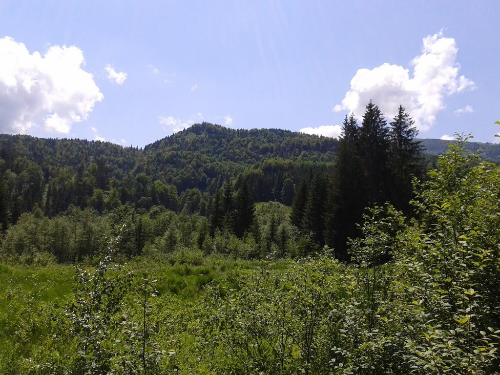 Landhaus Bellecote Reit im Winkl Oda fotoğraf